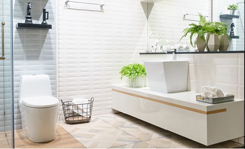 Bathroom interior - Toilet, hand basin, plants